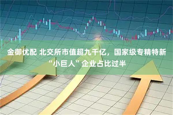 金御优配 北交所市值超九千亿，国家级专精特新“小巨人”企业占比过半