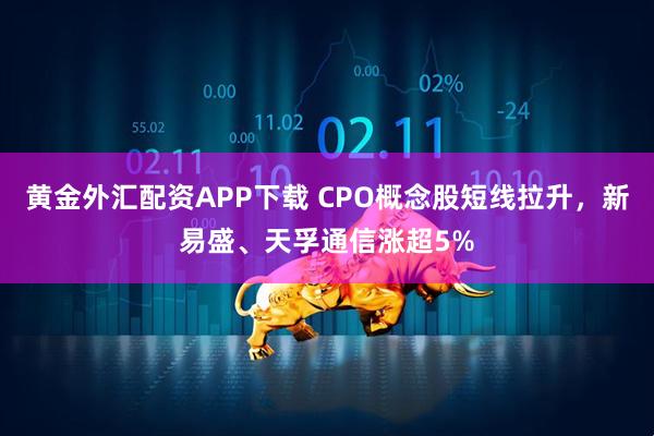 黄金外汇配资APP下载 CPO概念股短线拉升，新易盛、天孚通信涨超5%